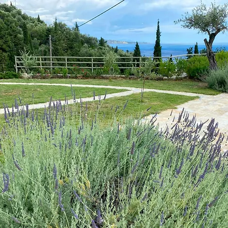 Tatil Evi Paleopetres K-four - Double - -