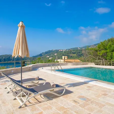 Paleopetres K-four - Double - - קלאמי