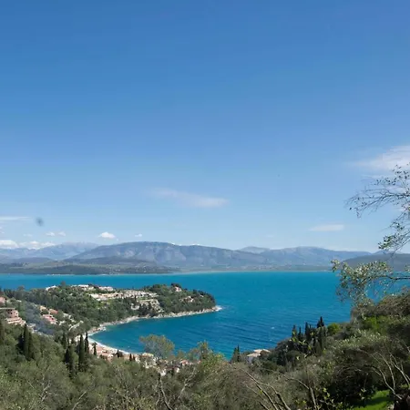 Paleopetres K-four - Double - -