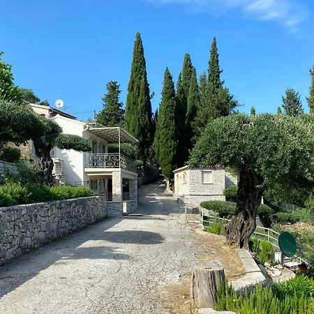 Paleopetres K-four - Double - - *