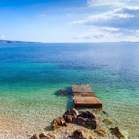 Paleopetres K-four - Double - -