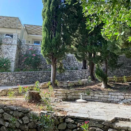 Paleopetres K-four - Double - - קלאמי