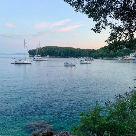 Paleopetres K-four - Double - - * קלאמי